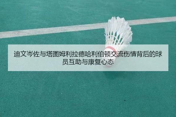 迪文岑佐与塔图姆利拉德哈利伯顿交流伤情背后的球员互助与康复心态